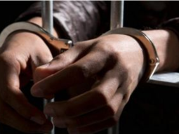 el gobierno retiro el proyecto de reforma penal juvenil: cual fue el motivo el gobierno retiro el proyecto de reforma penal juvenil: cual fue el motivo