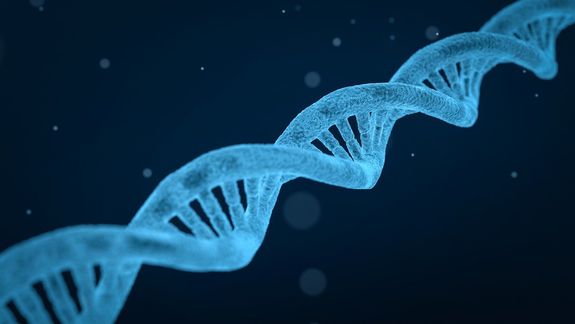 ¡Lo hicieron otra vez! Nueva clonación exitosa: ¿de qué animal se trata?