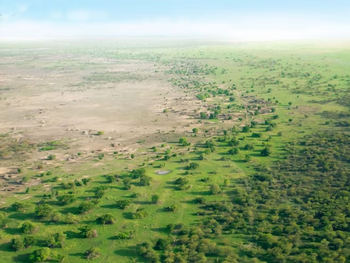 La Gran Muralla Verde del Sahara busca detener la desertificación y restaurar tierras degradadas en el Sahel africano (UN) La Gran Muralla Verde del Sahara busca detener la desertificación y restaurar tierras degradadas en el Sahel africano (UN)