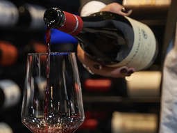 Sturzenegger en INV Mendoza: El 99,9% de productores son honestos, defiende desregulación para libertad sectorial. Sturzenegger en INV Mendoza: El 99,9% de productores son honestos, defiende desregulación para libertad sectorial.