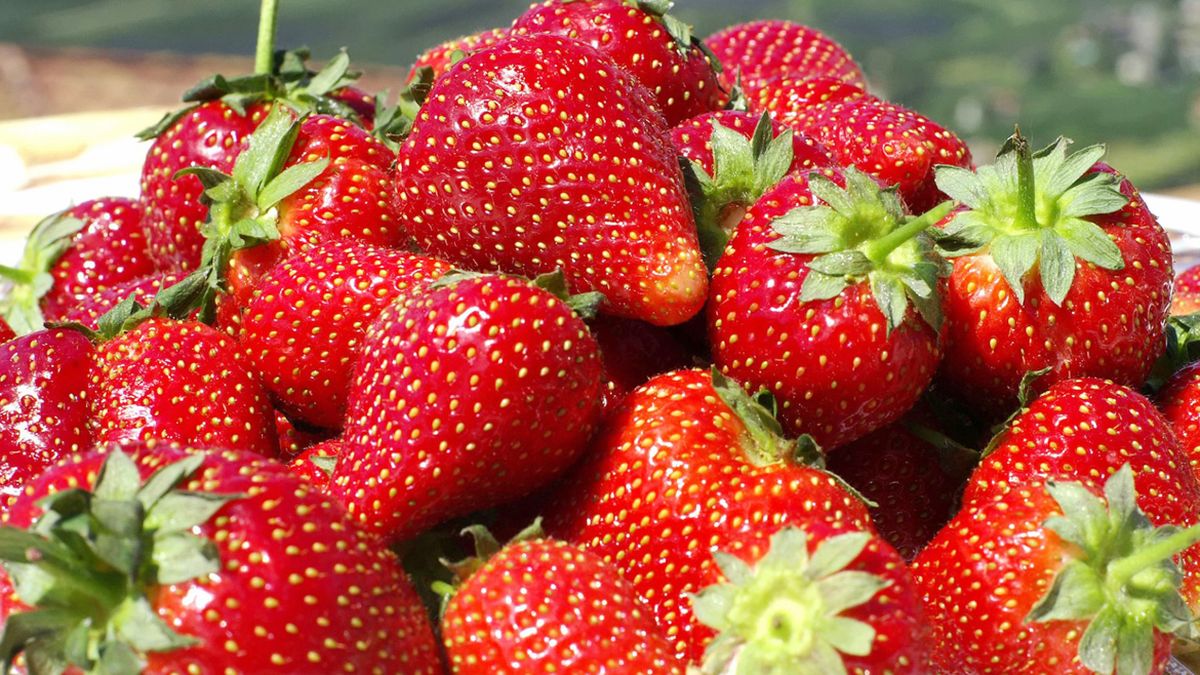 Las 10 Propiedades Más Beneficiosas De La Frutilla