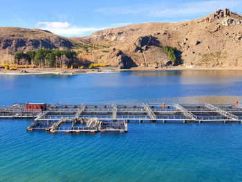 Argentina proyecta alcanzar una producción de 16.000 toneladas para el año 2026. Argentina proyecta alcanzar una producción de 16.000 toneladas para el año 2026.