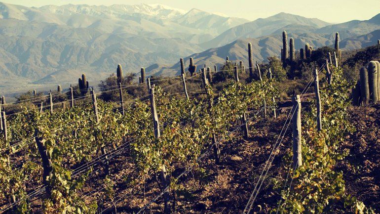 Nuevos rincones para vinos de altura