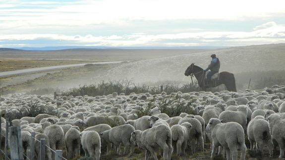 Las prestaciones seman un 10% para el trabajador tanto de Río Negro como para Neuquén.
