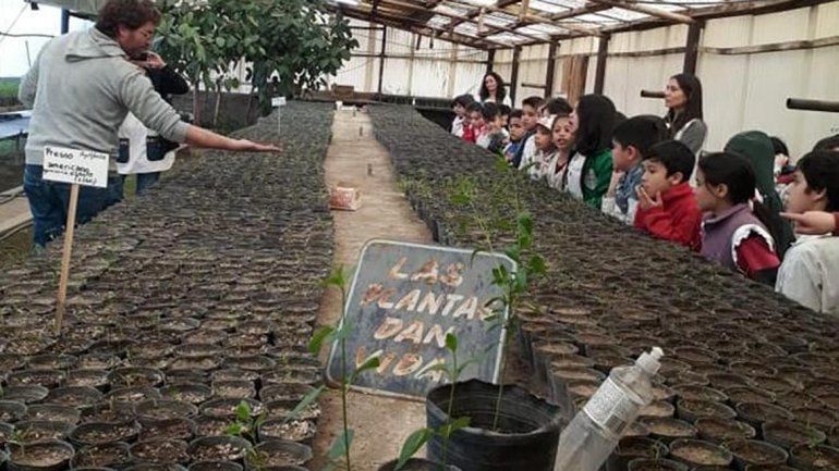 El vivero municipal, dentro del circuito turístico de Neuquén