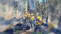 extinguieron dos focos de incendios en la provincia de neuquen extinguieron dos focos de incendios en la provincia de neuquen
