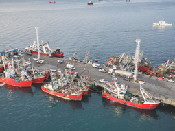 Puerto Madryn 20/11: nació el frente unido contra la pesca ilegal en Argentina. Puerto Madryn 20/11: nació el frente unido contra la pesca ilegal en Argentina.