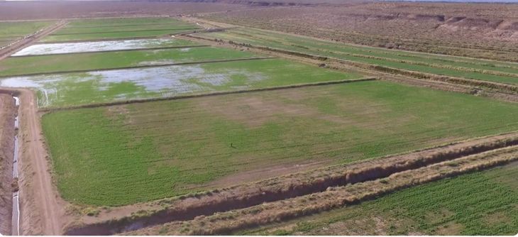 Nuevas obras de riego reactivan la esperanza de los productores de Picún Leufú Nuevas obras de riego reactivan la esperanza de los productores de Picún Leufú