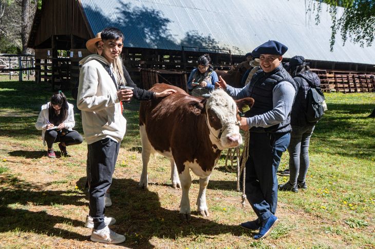 La primera edición del Concurso Tromen terminó con un remate. Foto: Leo Casanova / SRN La primera edición del Concurso Tromen terminó con un remate. Foto: Leo Casanova / SRN