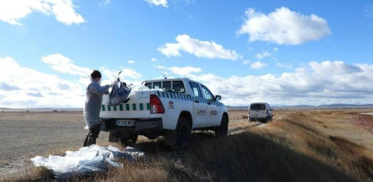 Agentes de Protección de la Naturaleza del Gobierno de Aragón recogen los cadáveres de grullas en la Laguna de Gallocanta GOBIERNO DE ARAGÓN / Europa Press Agentes de Protección de la Naturaleza del Gobierno de Aragón recogen los cadáveres de grullas en la Laguna de Gallocanta GOBIERNO DE ARAGÓN / Europa Press