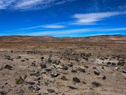 La medida corresponde a un escenario climático adverso registrado durante el año 2025. La medida corresponde a un escenario climático adverso registrado durante el año 2025.