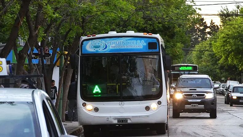 El chofer del colectivo reaccionó rápido ante la urgencia. | LM Neuquen El chofer del colectivo reaccionó rápido ante la urgencia.
