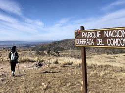 El sobrevuelo del piloto a baja altura afectó a la fauna del lugar, especialmente a los cóndores andinas, especies vulnerables y de escasa población en la zona.
