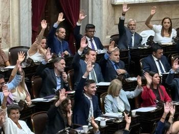 baja de la edad de imputabilidad: como votaron los diputados de neuquen y rio negro