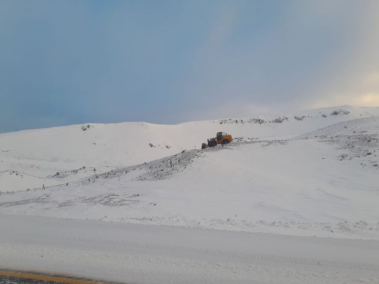 Pino Hachado, cerrado por nieve: cuál es el estado de las rutas de Neuquén