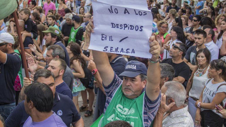 ATE Senasa afirma que bajaron varios programas sanitarios