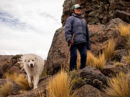 Productora Isabel Quilaqueo y Piren, su perro protector de ganado, en Neuquén. Foto: Gregorio Ibañez. Productora Isabel Quilaqueo y Piren, su perro protector de ganado, en Neuquén. Foto: Gregorio Ibañez.