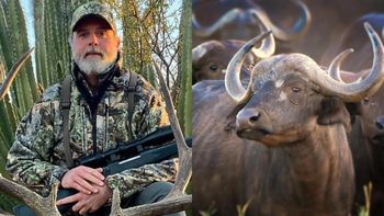 Tragedia en un safari de caza: un millonario estadounidense murió atacado por un búfalo. Tragedia en un safari de caza: un millonario estadounidense murió atacado por un búfalo.