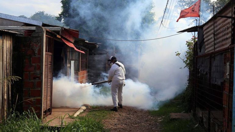 La fumigación sobre pastizales y el descacharreo son las medidias más efectivas para evitar la proliferación del dengue. Foto: Google.