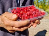 La iniciativa es clave para diversificar la matriz productiva.