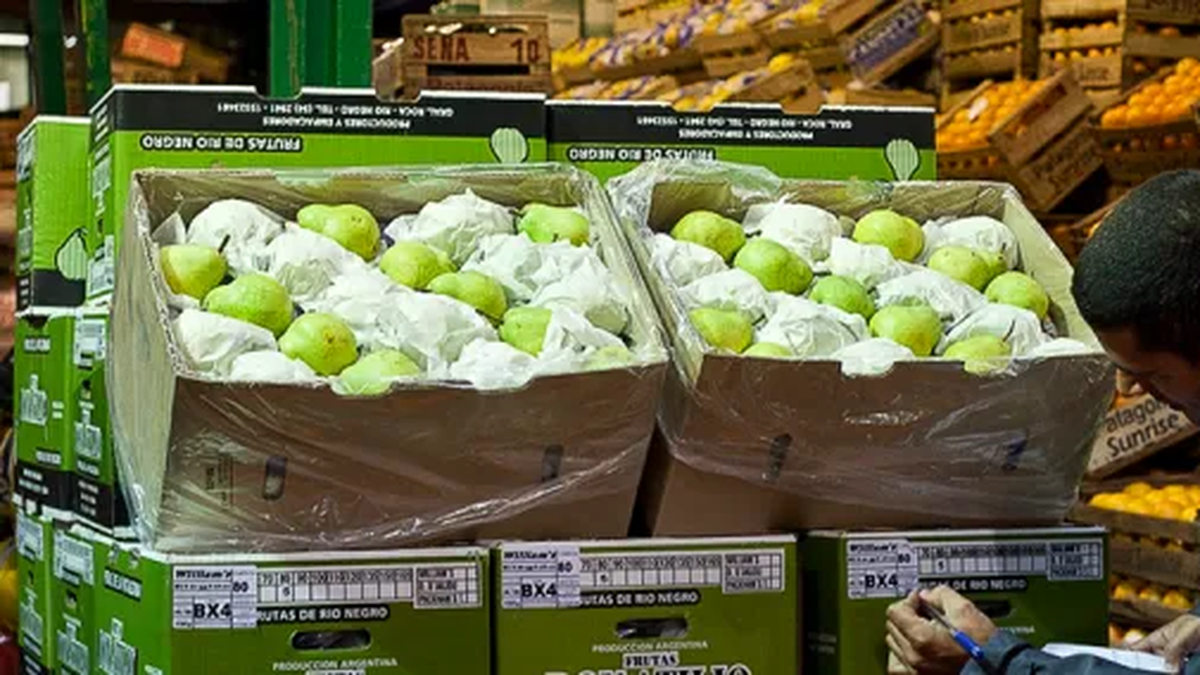 Tocan mínimos las ventas de peras argentinas en el mercado interno thumbnail