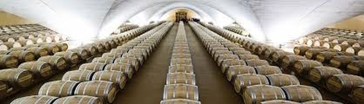 El 90% de la producción de Neuquén se concentra en Añelo, impulsando exportaciones a Brasil. El 90% de la producción de Neuquén se concentra en Añelo, impulsando exportaciones a Brasil.