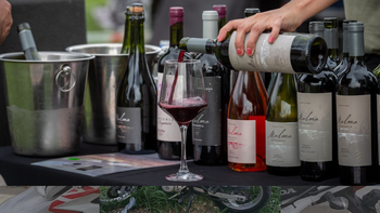 El sunset en Bodega Malma celebró la Vendimia Neuquina El sunset en Bodega Malma celebró la Vendimia Neuquina