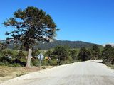 El ingreso a Moquehue será pavimentado.