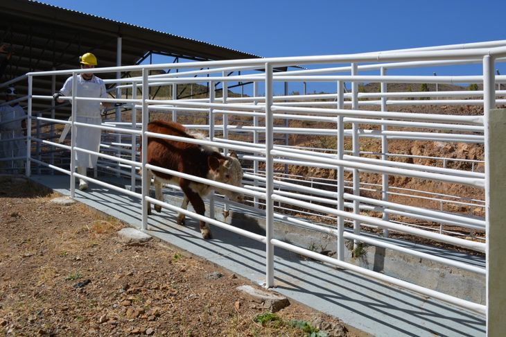 El monto previsto para 2024 es de 331 millones de pesos. Foto: gentileza. El monto previsto para 2024 es de 331 millones de pesos. Foto: gentileza.