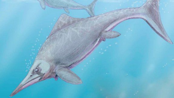 Hallan restos de un reptil terrestre que vivió hace 150 millones de años