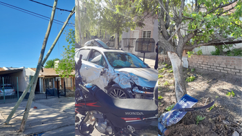choco postes, un cartel y un arbol en neuquen: destruyo el vento y se dio a la fuga caminando choco postes, un cartel y un arbol en neuquen: destruyo el vento y se dio a la fuga caminando