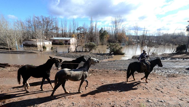 Sauzal Bonito (archivo).
