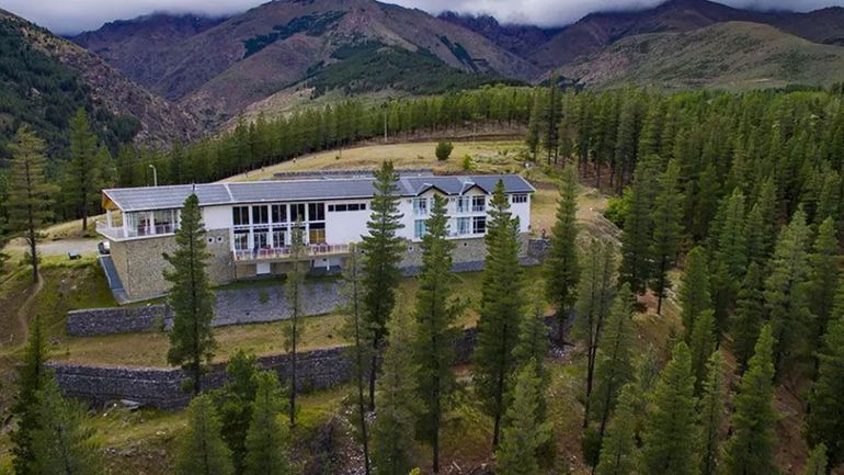 Huinganco, el pueblo que eligió sembrarse y logró hacer crecer un enorme bosque