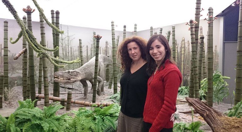 Reconstruyeron un ancestro del cocodrilo que vivió en Argentina