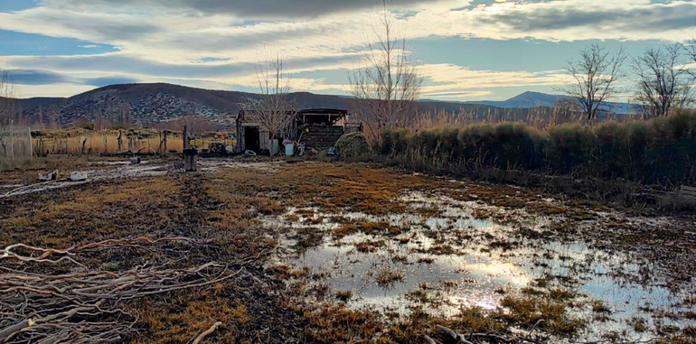 Estado en el que quedó un pequeño establecimiento productivo del interior neuquino tras las lluvias.