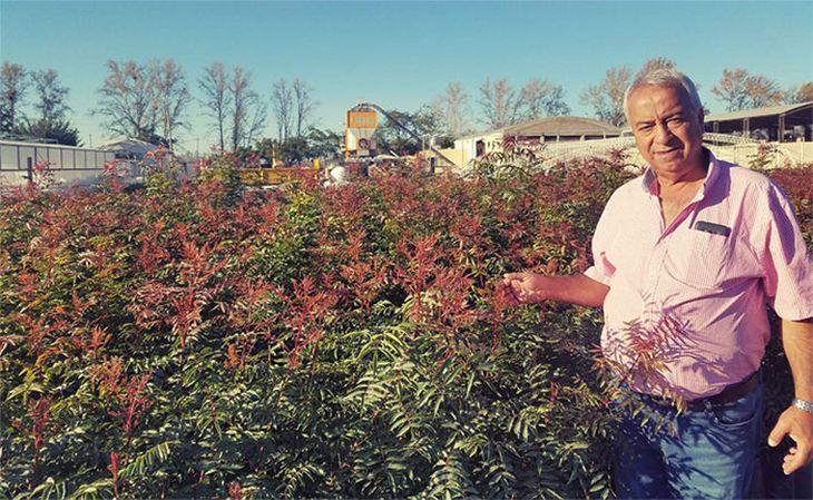 Marcelo Ighani, un inmigrante iraní que desde hace más de 40 años se dedica al cultivo en San Juan. Marcelo Ighani, un inmigrante iraní que desde hace más de 40 años se dedica al cultivo en San Juan.