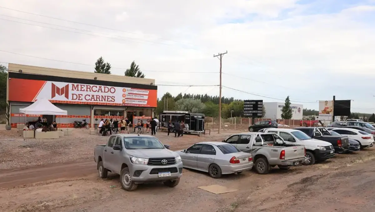 Realizaron un boquete y se llevaron más de cien kilos de carne y la caja registradora.