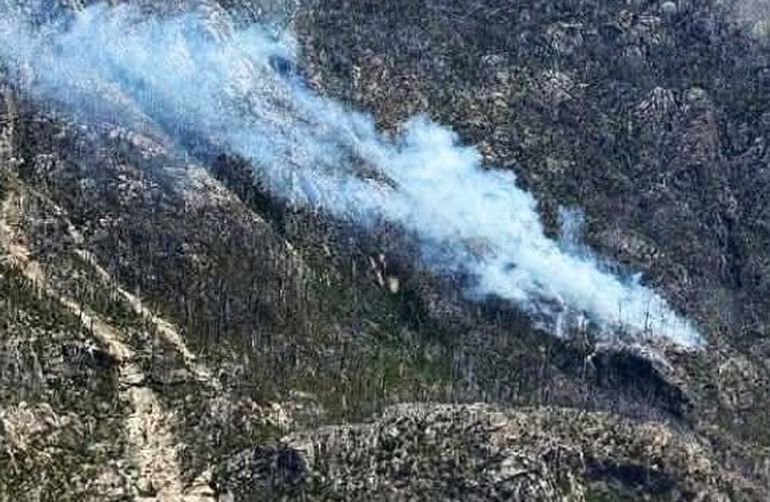 El incendio afecta bosques nativos en Lago Puelo, Chubut. El incendio afecta bosques nativos en Lago Puelo, Chubut.
