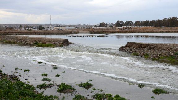 Tiraron basura