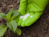 Alemania apuesta a los fertilizantes.
