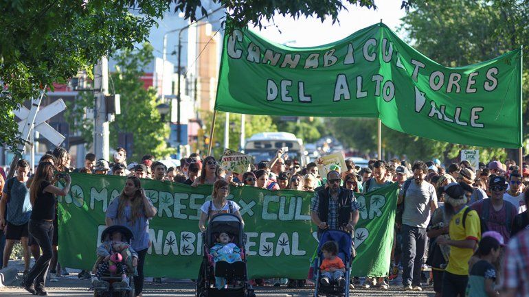 Pidieron legalizar la marihuana sin restricciones