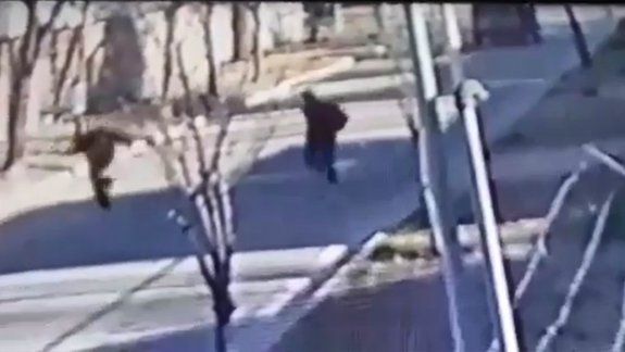 Centenario: así les robaron a dos jóvenes en plena calle