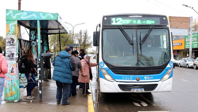 Paro total de colectivos en Neuquén: qué dijo la Municipalidad sobre la medida