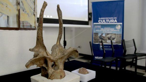 Presentaron el dinosaurio más antiguo de Neuquén