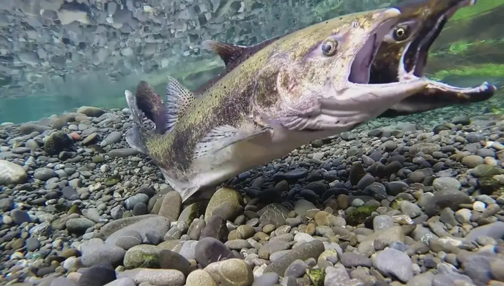 La cuenca del río Santa Cruz es el eje central del nuevo Plan de Control y Aprovechamiento. La cuenca del río Santa Cruz es el eje central del nuevo Plan de Control y Aprovechamiento.