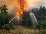 Se&nbsp; busca evitar los hechos del año pasado. Foto de archivo: Incendio en El Bolsón, 2024.