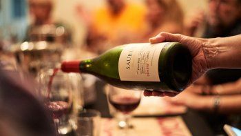 p24-f01-pinot-noir-saurus-vino.jpg