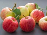 En la presente temporada se observó más volumen de manzana, pero hay dudas con la calidad.P