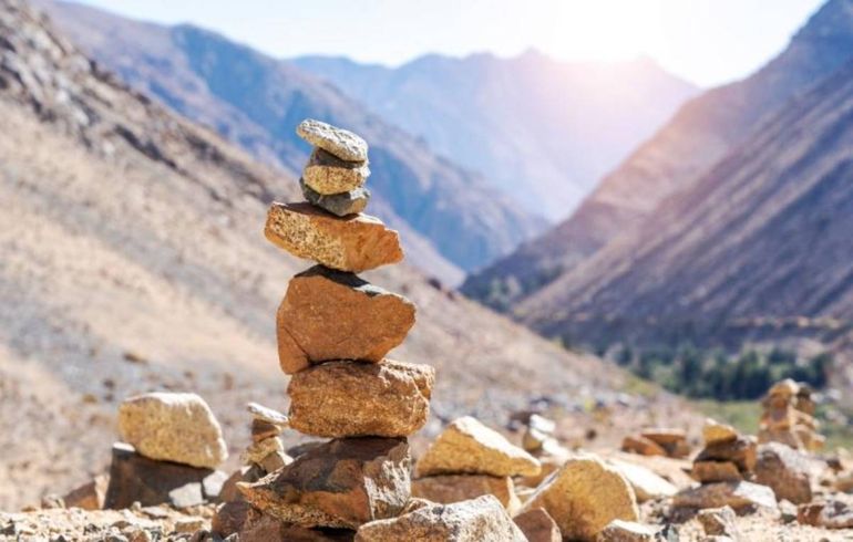 El pedido de la Conaf: El pedido de la Conaf: