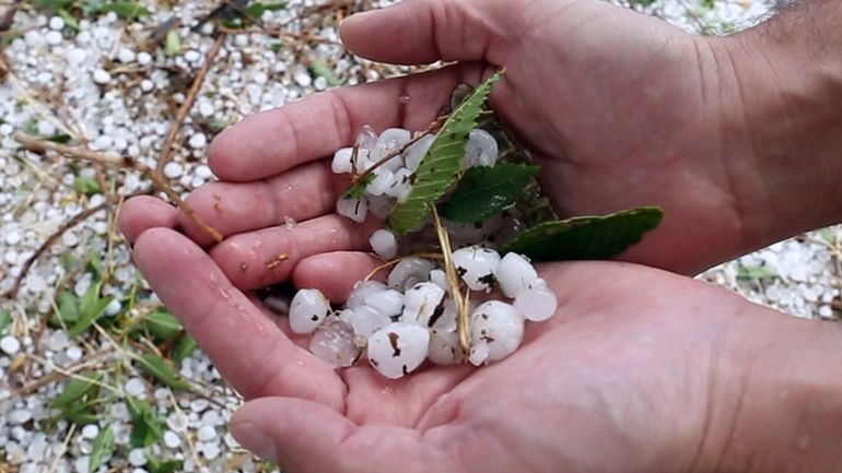 Granizo: hay 1000 hectáreas de fruta dañadas por la tormenta
